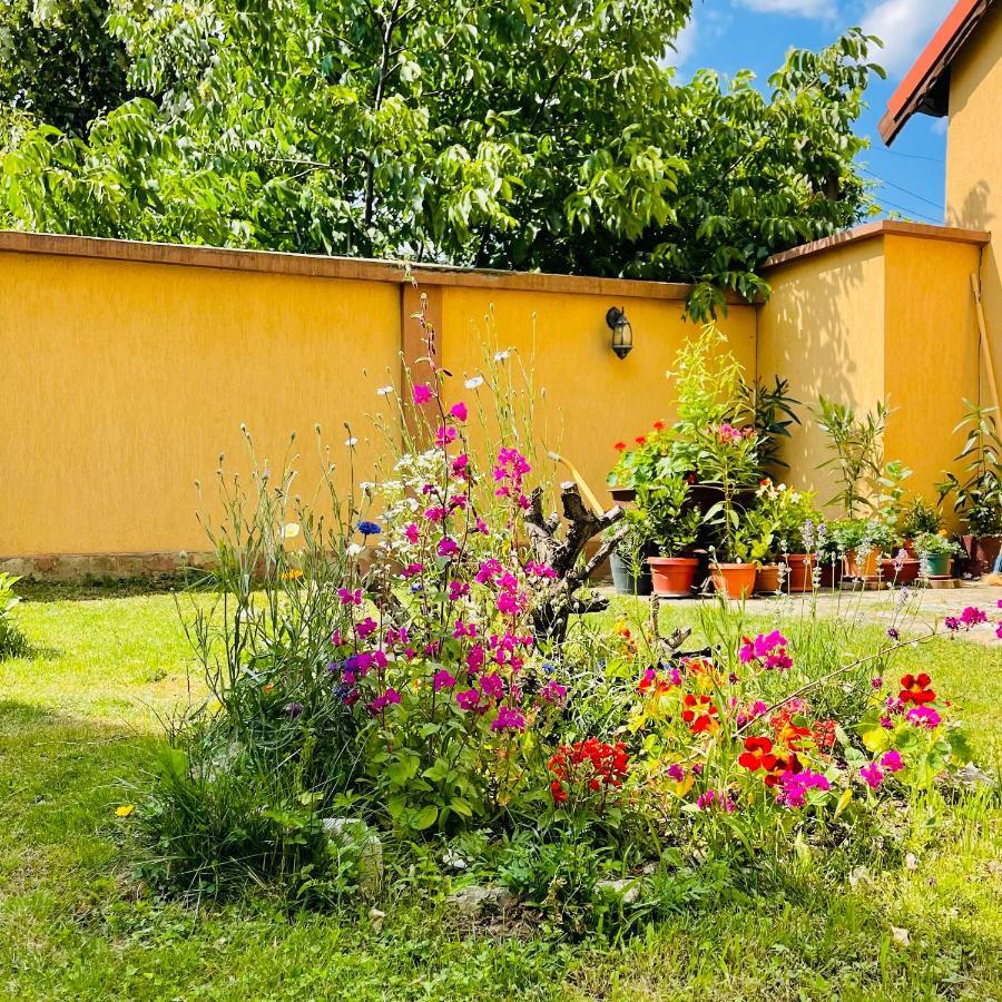 Apartamento Leto House Târgu Jiu Exterior foto